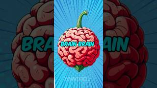 Brain Brain no Mi Devil Fruit explained.