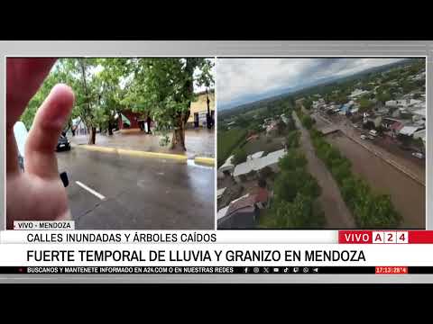 🔴 CALLES INUNDADAS Y ÁRBOLES CAÍDOS EN MENDOZA