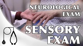 Sensory Exam