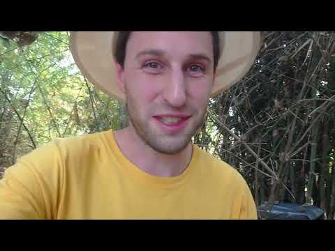 Cerana Bienenhaltung als Beruf in Thailand 3/4