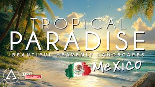Tropical Paradise DRONE FOOTAGE HD - Beautiful Beach & Island Landscapes Footage HD