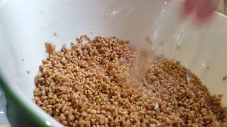 How to Make Sprouted Bread! #food #breadrecipe