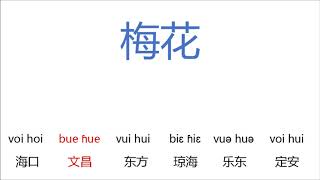 Re: [問卦] 海南島通行閩南話