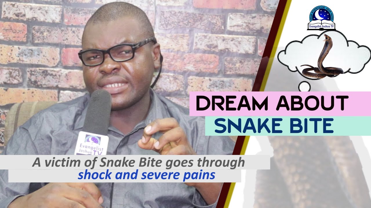 DREAM ABOUT SNAKE BITE - Find Out The Biblical Dream Interpretation