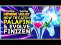 Pokemon Scarlet and Violet - How To Catch Palafin & Evolve Finizen  | Super Hero Pokemon Location