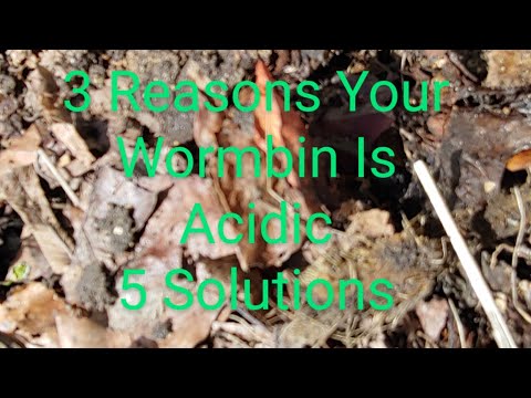 3 Reasons Your Wormbins Are Acidic & 5 Solutions
