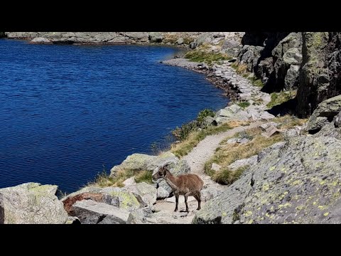 Caminhando na Senda De La Laguna Grande - uma caminhada nas montanhas da Sierra De Gredos, Espanha