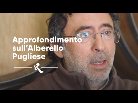 , title : 'Morella, Puglia - Approfondimento sull’Alberello Pugliese e la Biodinamica tra Steiner e Podolinsky'