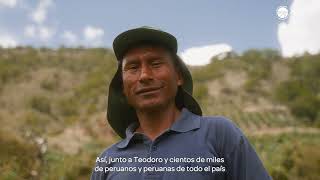 TOC Asociados - Video - 3