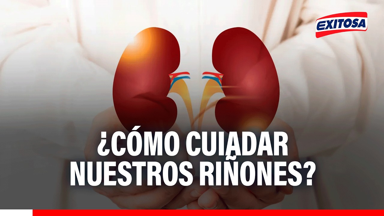 🔴🔵 Cuidar tus riñones es SENCILLO: Experto nos ofrece los mejores consejos para lograrlo
