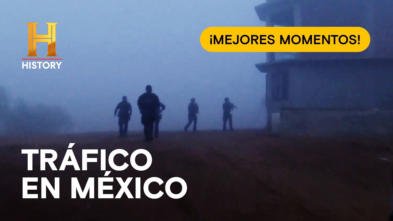 🇲🇽 Los mejores casos de MÉXICO 💪 Combatiendo el tráfico en la frontera 👮‍♂️ ¡ALTO! FRONTERA