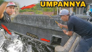Download lagu Gara² Umpan ini,, Warga Taiwan Heboh Lihat Orang Indonesia Mancing Ikan Besar Pinggir Jalan mp3