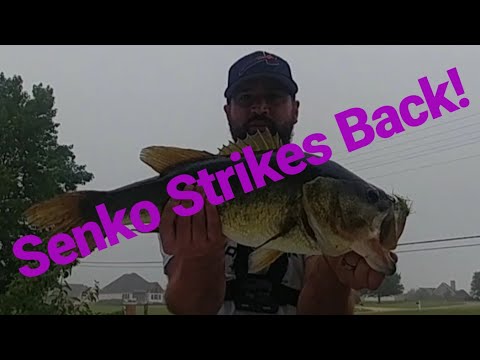 Senko Strikes Back (PB Senko fish) (BIG BASS)