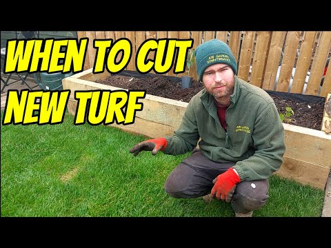 FIRST TIME Cut for a Newly Laid Lawn (Turf)