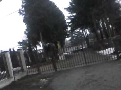 Cel mai tare betiv din Hemeius