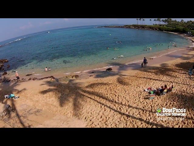 Kapalua Bay Snorkeling with Boss Frog's