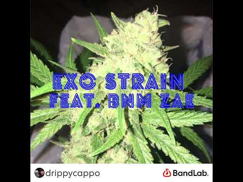 Exo Strain (feat. BNM Zae)