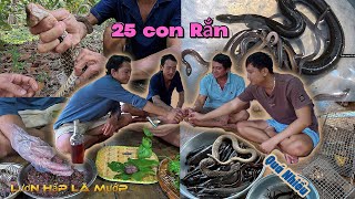 Quá nhiều  RẮN, LƯƠN, CÁ, CHUỘT  lai rai hoài sao hết | Gấc Quê