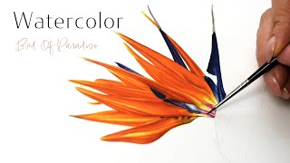How to paint a Bird Of Paradise (Strelitzia) Part 1 | Watercolour painting tutorial