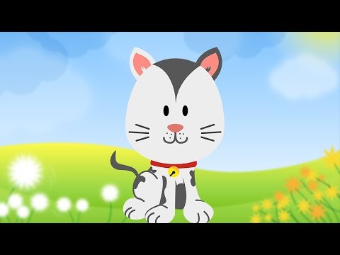 El Gato Hace Miau - Canciones y Clásicos Infantiles