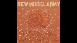 New Model Army - Brave New World 2