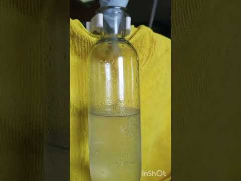 Эфирное масло Эстрагона в домашних условиях