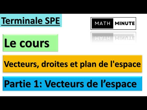 Term Spé - Vecteurs, droites et plans de l'espace - Le cours (partie 1) : Vecteurs de l'espace