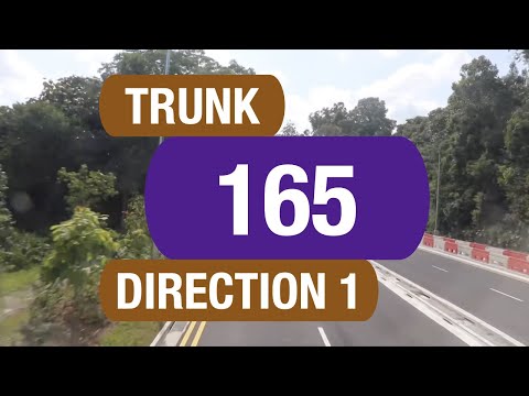 Bus 165 Times