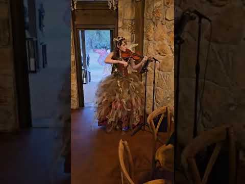 Promotional video thumbnail 1 for Alyssa Blaise Violin