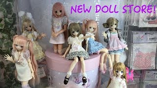 A New Doll Store in Akihabara, Azone store and Volks Point
