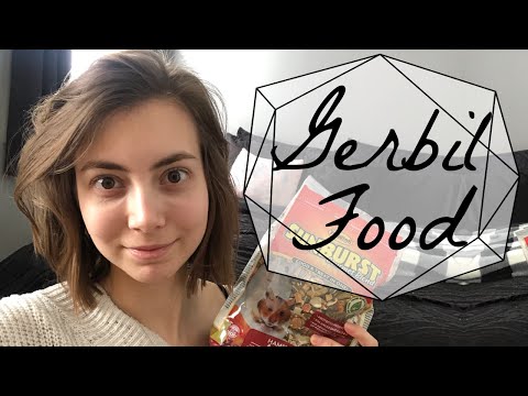 Gerbil Diet & Nutrition