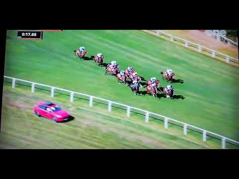 Race 4  16:20 Royal Ascot