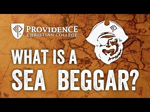 What is a Sea Beggar?