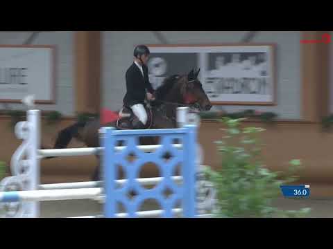 Turnierimpressionen - Khatou S