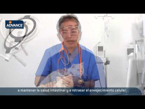 download lagu mp3 mp4 Advance Cat Sterilized, download lagu Advance Cat Sterilized gratis, unduh video klip Advance Cat Sterilized