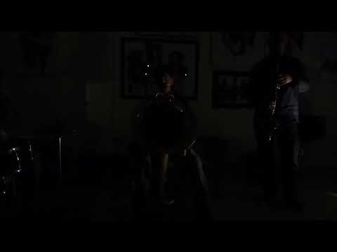 CAFE FINCH    A.WILKINSON S. NOBLE and OREN MARSHALL SEPT, 2022