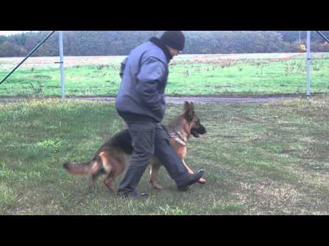 Eska von der alma mater