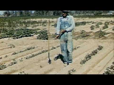 Tryptophan - Destroy Fashion - Film 02 - Pancake 2