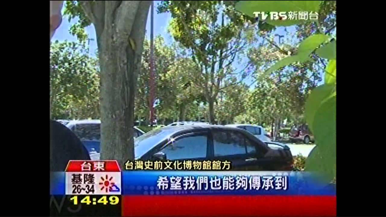 金城武樹有後了! 農友撿茄苳籽育3苗