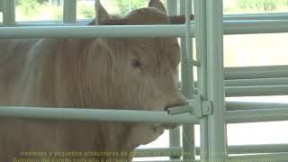 EL GOBERNADOR JOSÉ ROSAS AISPURO TORRES ENTREGÓ EL CENTRO DE MEJORAMIENTO GENÉTICO GANADERO DE DURAN