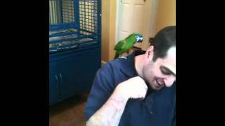 Paco and Anthony
