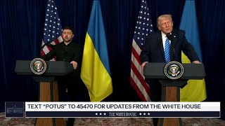 Trump: "Putin vuole che l'Ucraina abbia successo" e Zelensky sorride