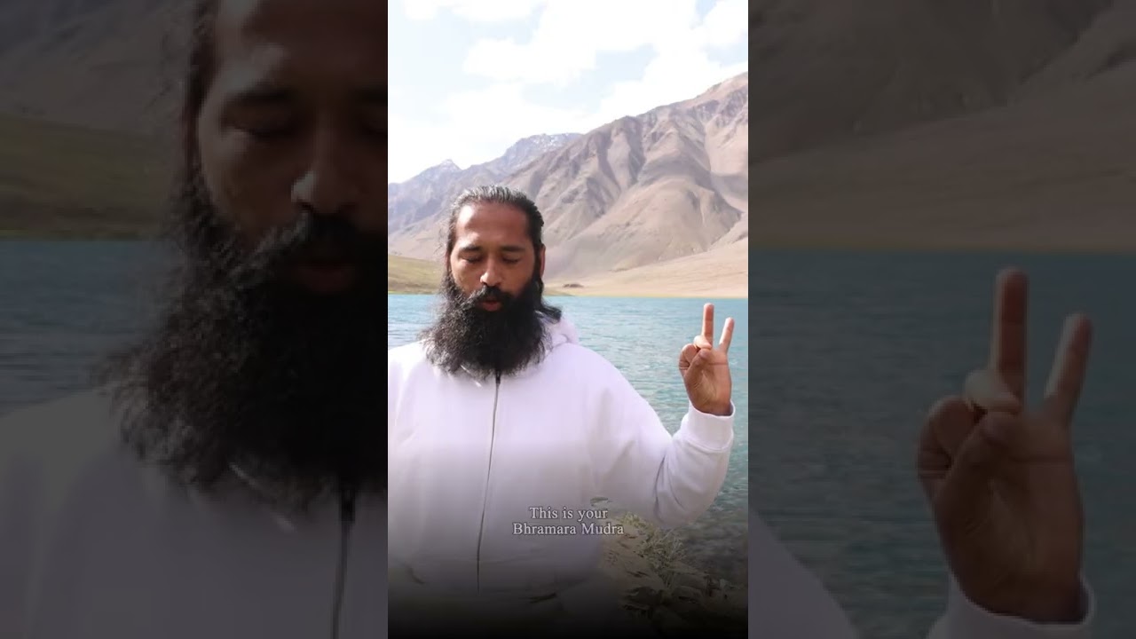 1 Yoga Mudra For Brain Power | Himalayan Siddha Akshar #shorts