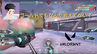 【VALORANT】ゴールド昇格後のキル集【りすま】