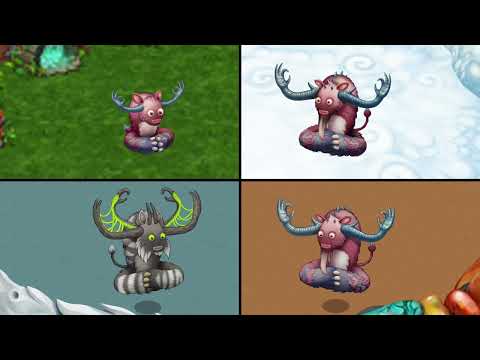 (MSM) Flum Ox Quartet