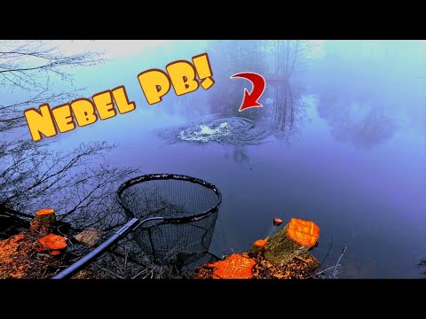 Wir erkunden unseren neuen Pacht See! Angeln auf unbekannte FISCHE