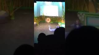 preview picture of video 'Short clip of the wild Kratts live'