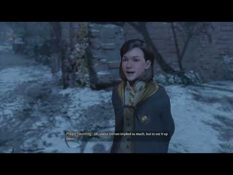 Hogwarts Legacy Playthrough Pt. 40