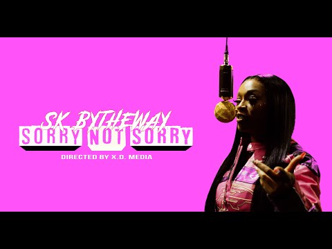 Sorry Not Sorry (Freestyle)