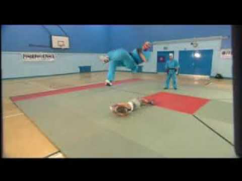 Showreel 2003 - www.ashleybeck.co.uk